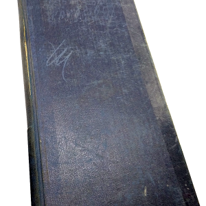 Bilete de papagal – Tudor Arghezi (Numerele 1-100, Feb – Iun 1928)