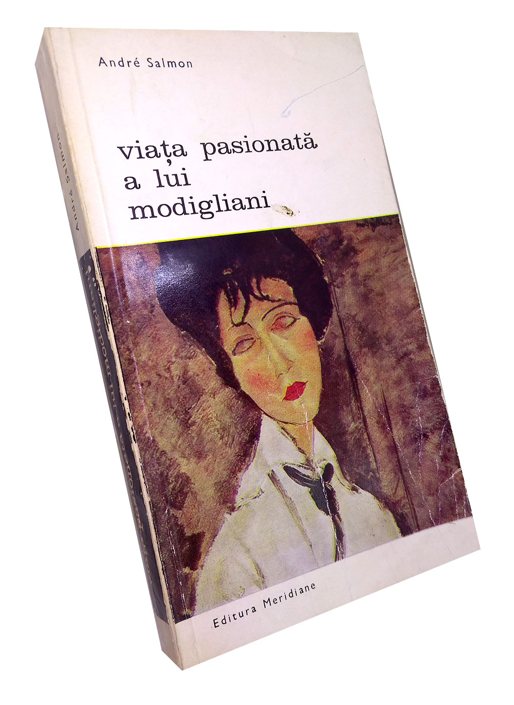 Viața pasionată a lui Modigliani - Andre Salmon